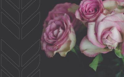 Web Header Florist