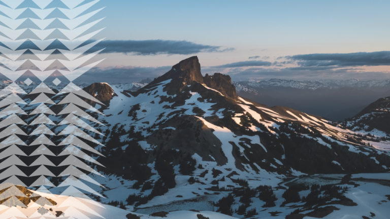 Web Header Moving Web Header Moving